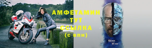 крисы Абаза