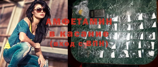 крисы Абаза