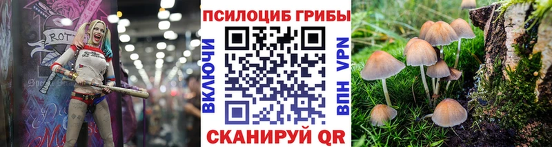 Галлюциногенные грибы Psilocybine cubensis Тобольск