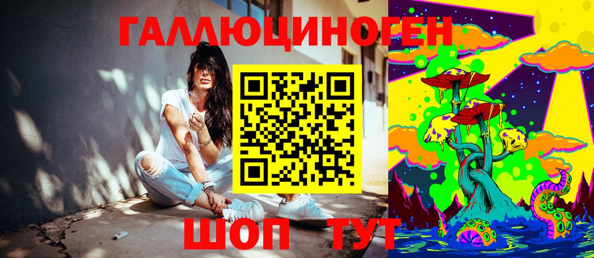 как найти   Галлюциногенные грибы мицелий  Тобольск  Вход с VPN  Псилоцибиновые грибы Psilocybe 