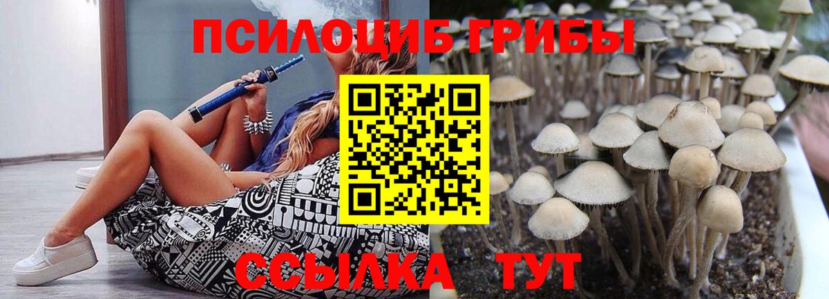 Галлюциногенные грибы Magic Shrooms Тобольск